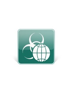 Kaspersky Lab Security for Internet Gateway, 250-499u, 2Y, Base RNW Licenza base 2 anno i