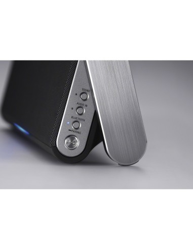 Sony SRS-BTX300 Speaker wireless portatile