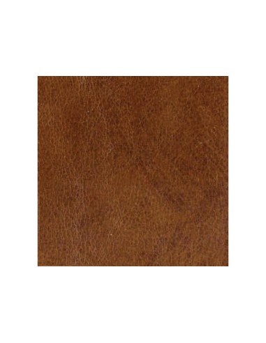 Kensington Custodia in pelle Texture per iPhone® 5 5s