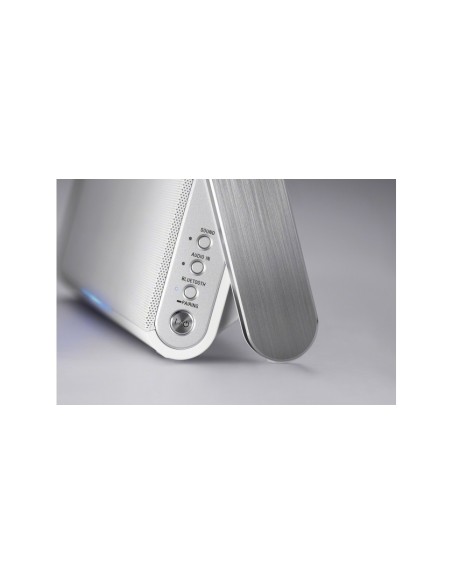 Sony SRS-BTX300 Speaker wireless portatile