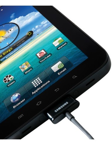 Samsung Travel Adapter Nero Interno