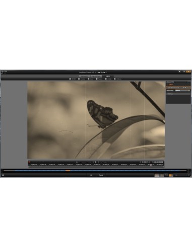 Corel Pinnacle Studio 16, License Media Pack, ML