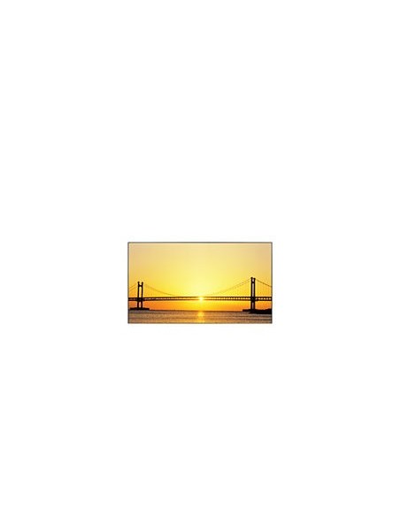 Samsung 460UT-2 Pannello piatto per segnaletica digitale 116,8 cm (46") 500 cd m² WXGA Nero