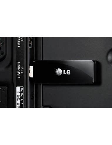 LG AN-WF100 scheda di rete e adattatore WLAN