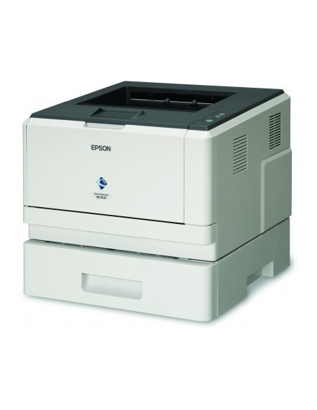 Epson AcuLaser M2400DT