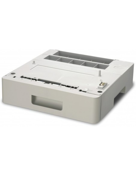 Epson AcuLaser M2400DT