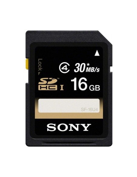 Sony 16GB SDHC+Car grip Pad Classe 4