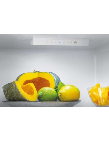 Candy City Combi CMCL 5172X frigorifero con congelatore Libera installazione Acciaio inossidabile