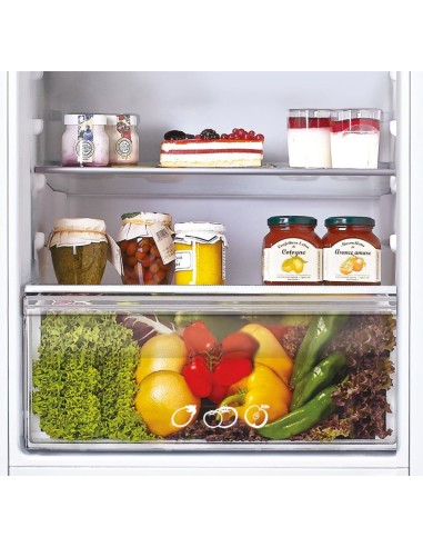 Candy CKBB 100S 1 frigorifero con congelatore Da incasso 250 L F Bianco