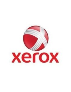 Xerox 301K31200 licenza per software aggiornamento 1 licenza e