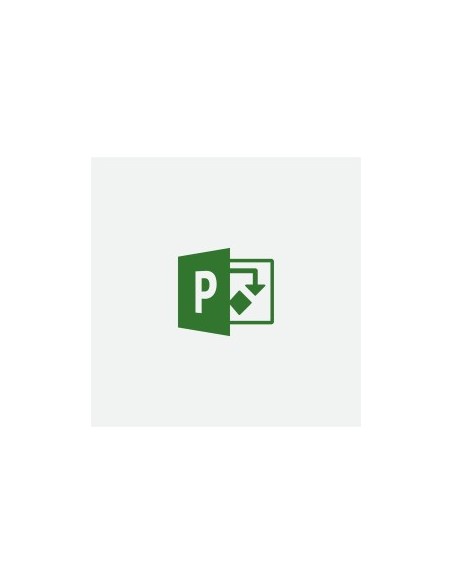 Microsoft Project Standard 2019, ITA Open License