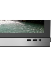 Lenovo V330 Intel® Pentium® Gold 49,5 cm (19.5") 1600 x 900 Pixel 4 GB DDR4-SDRAM 1000 GB HDD PC All-in-one Windows 10 Pro 2