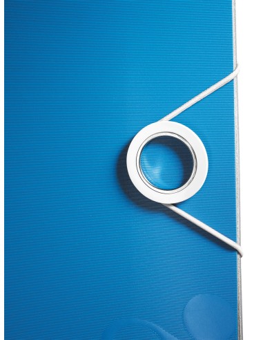 Leitz 11060036 raccoglitore ad anelli A4 Blu