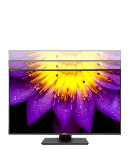 ASUS ProArt PA329C 81,3 cm (32") 3840 x 2160 Pixel 4K Ultra HD LCD Nero