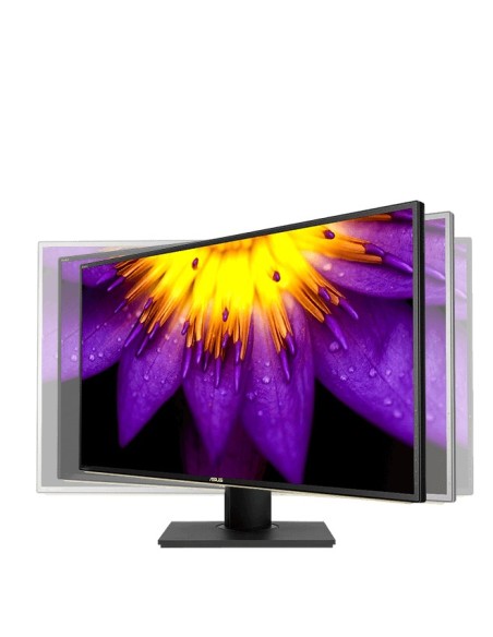 ASUS ProArt PA329C 81,3 cm (32") 3840 x 2160 Pixel 4K Ultra HD LCD Nero