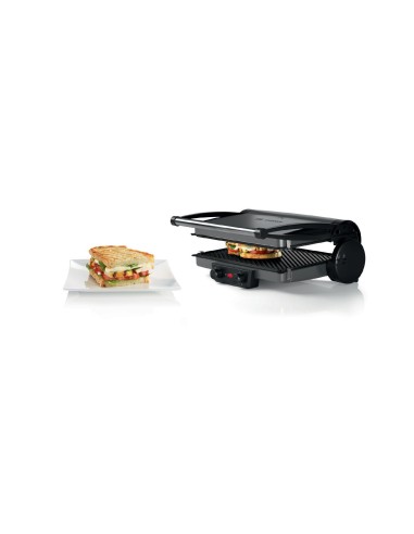 Bosch Bistecchierasilver