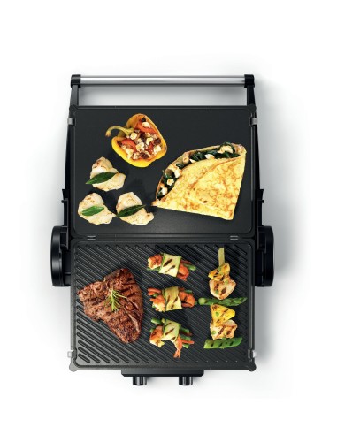 Bosch Bistecchierasilver