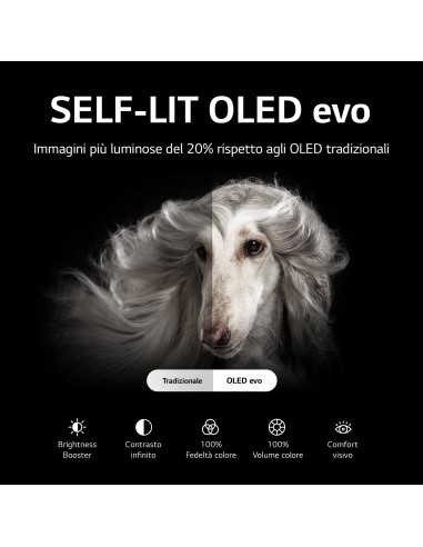 LG OLED evo 4K 65'' Serie C26 OLED65C26LD Smart TV NOVITÀ 2022