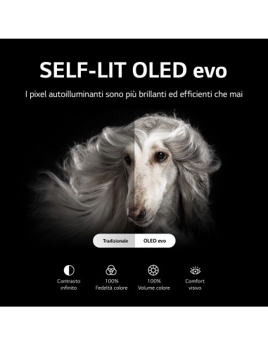 LG OLED evo 4K 48'' Serie C26 OLED48C26LB Smart TV NOVITÀ 2022