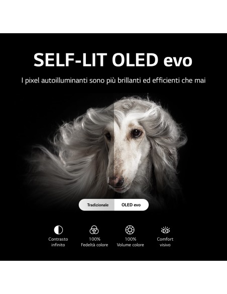 LG OLED evo 4K 48'' Serie C26 OLED48C26LB Smart TV NOVITÀ 2022