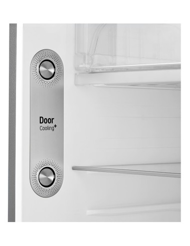 LG GTB574PZHZD Doppia porta , Platino, Argento 438L