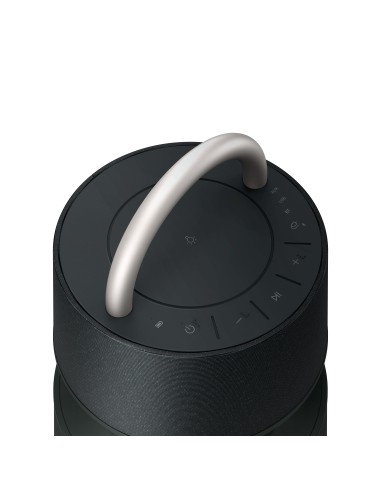 LG XBOOM 360 (RP4) speaker con Audio 360° 120W e Illuminazione emozionale -Verde