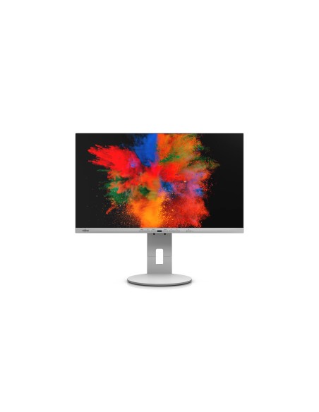 Fujitsu P Line P2410 TE 60,5 cm (23.8") 1920 x 1080 Pixel Full HD LED Grigio