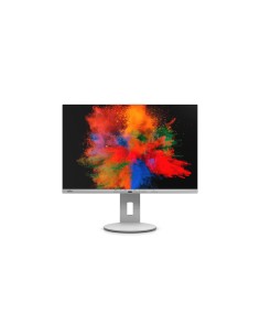 Fujitsu Displays B2410 WE 61,2 cm (24.1") 1920 x 1200 Pixel WUXGA LED Grigio