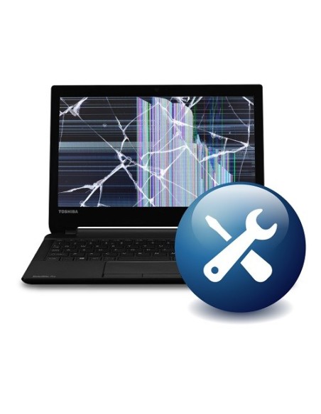 Dynabook OOWO100EU-VA estensione della garanzia