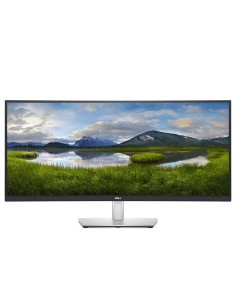 DELL P Series Monitor USB-C curvo 34  P3421W