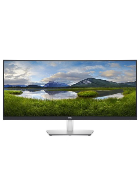 DELL P Series Monitor USB-C curvo 34  P3421W