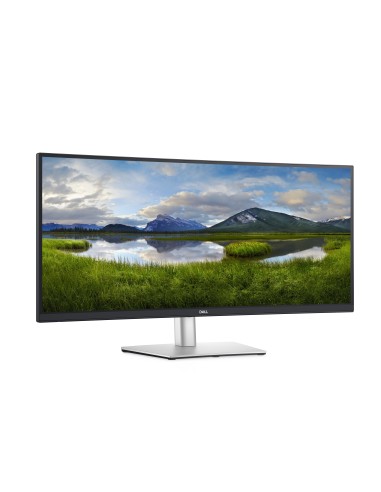DELL P Series Monitor USB-C curvo 34  P3421W