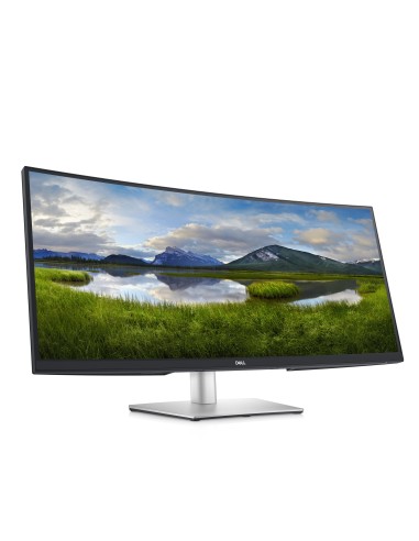 DELL P Series Monitor USB-C curvo 34  P3421W