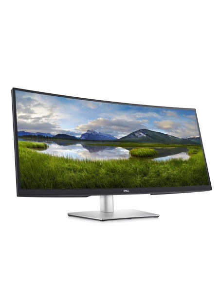 DELL P Series Monitor USB-C curvo 34  P3421W