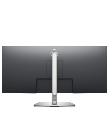 DELL P Series Monitor USB-C curvo 34  P3421W