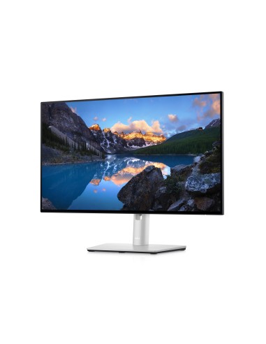 DELL UltraSharp U2422H 60,5 cm (23.8") 1920 x 1080 Pixel Full HD LCD Nero, Argento