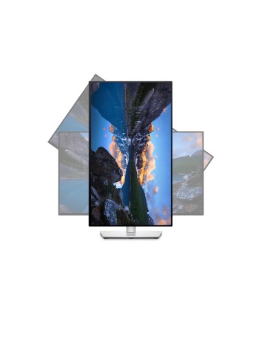 DELL UltraSharp U2422H 60,5 cm (23.8") 1920 x 1080 Pixel Full HD LCD Nero, Argento