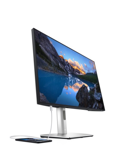 DELL UltraSharp U2421E 61,2 cm (24.1") 1920 x 1200 Pixel WUXGA LCD Nero, Argento