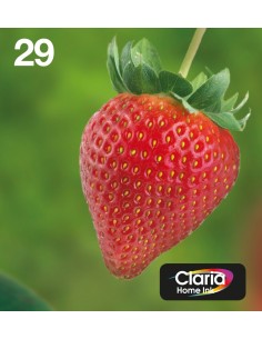 Epson Strawberry Multipack Fragole 4 colori Inchiostri Claria Home 29 in confezione EasyMail Packaging