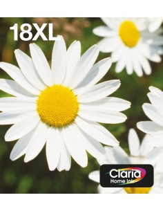 Epson Daisy Multipack Margherita 4 colori Inchiostri Claria Home 18XL in confezione EasyMail Packaging