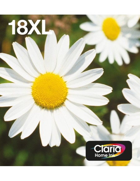 Epson Daisy Multipack Margherita 4 colori Inchiostri Claria Home 18XL in confezione EasyMail Packaging