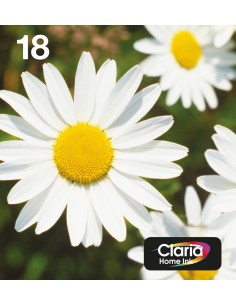 Epson Daisy Multipack Margherita 4 colori Inchiostri Claria Home 18 in confezione EasyMail Packaging