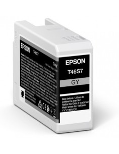 Epson UltraChrome Pro cartuccia d'inchiostro 1 pz Originale Grigio