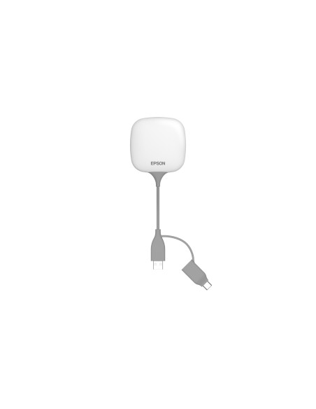 Epson ELPWP10 - Wireless Presentation System