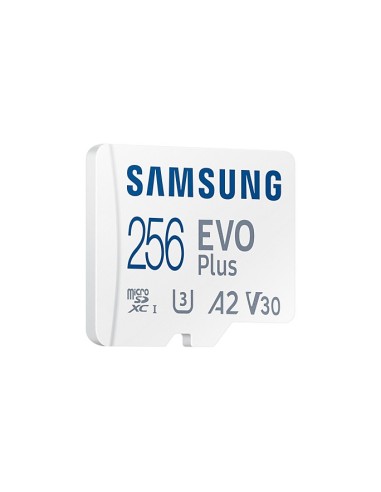 Samsung EVO Plus 256 GB MicroSDXC UHS-I Classe 10