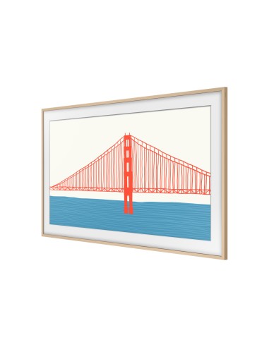 Samsung VG-SCFA55BEBXC accessorio TV