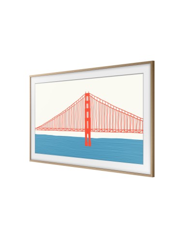 Samsung VG-SCFA65TKBXC accessorio TV