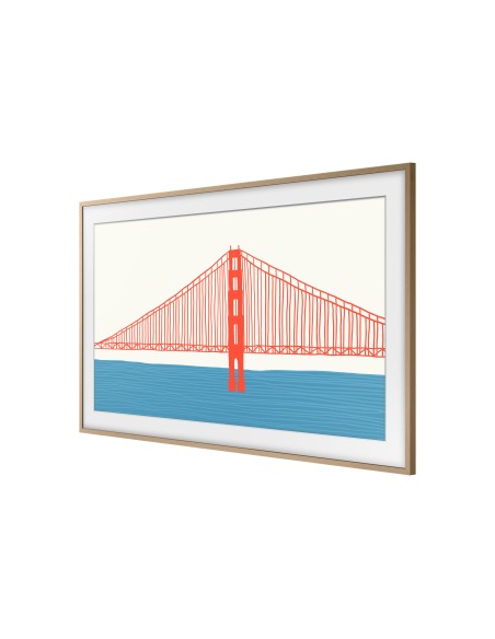 Samsung VG-SCFA43TKBXC accessorio TV