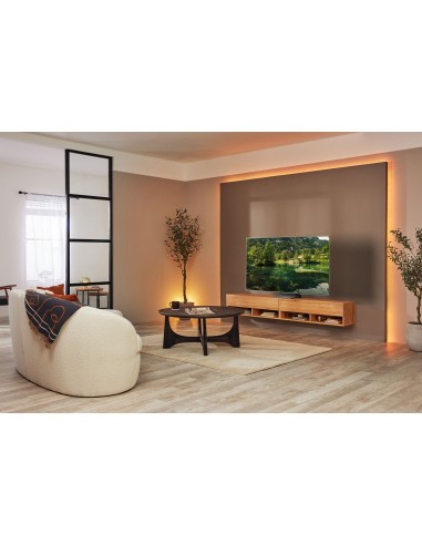 Samsung Series 9 TV OLED 4K 55” QE55S95B Smart TV Wi-Fi Eclipse Silver 2022, Processore Neural Quantum 4K, Ultra sottile,