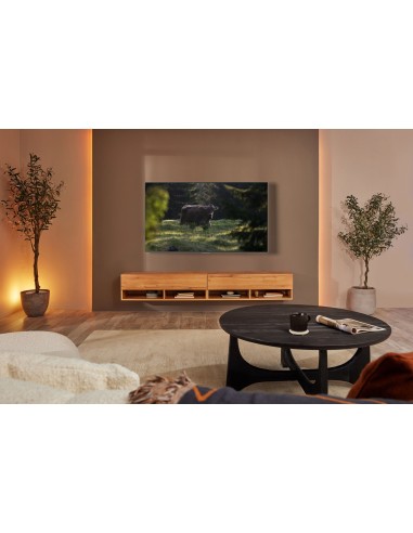 Samsung Series 9 TV OLED 4K 55” QE55S95B Smart TV Wi-Fi Eclipse Silver 2022, Processore Neural Quantum 4K, Ultra sottile,